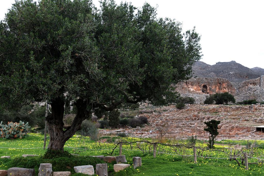 Villa Kalliopi Ιncreteble Cretan Resindences Collection Xerokampos (Crete) Exterior foto