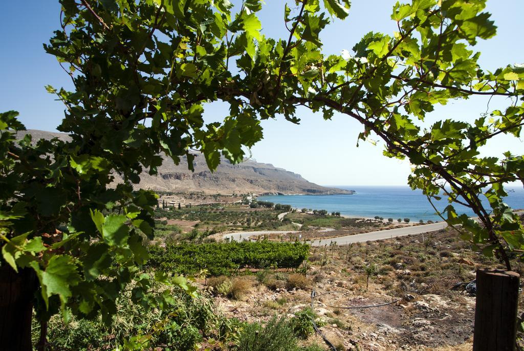 Villa Kalliopi Ιncreteble Cretan Resindences Collection Xerokampos (Crete) Exterior foto