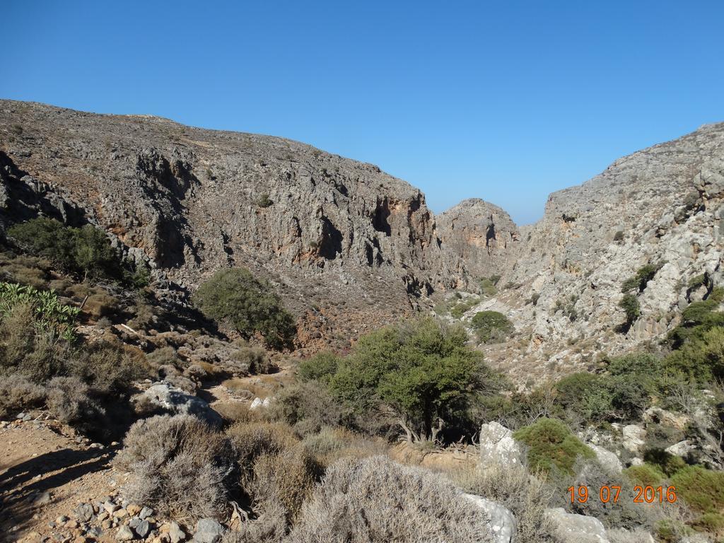 Villa Kalliopi Ιncreteble Cretan Resindences Collection Xerokampos (Crete) Exterior foto