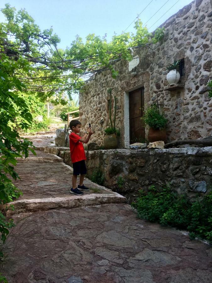Villa Kalliopi Ιncreteble Cretan Resindences Collection Xerokampos (Crete) Exterior foto